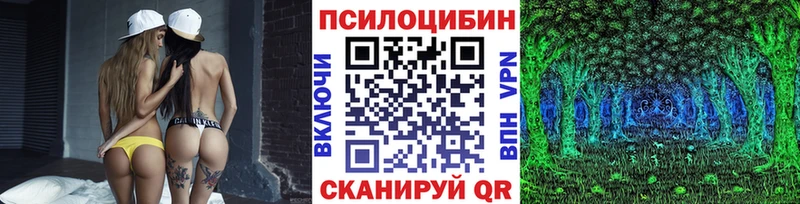 Псилоцибиновые грибы Psilocybe Железногорск-Илимский